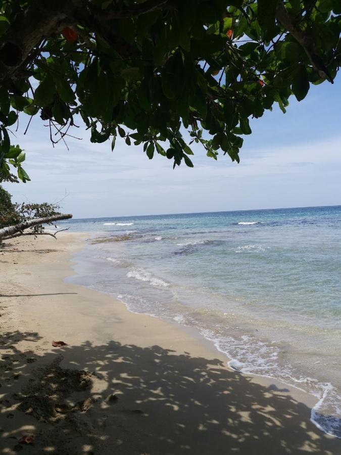 Hostal Cecilia Puerto Viejo de Talamanca Екстер'єр фото