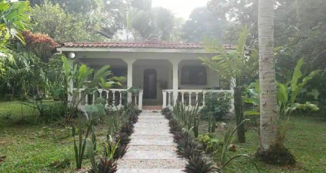 Hostal Cecilia Puerto Viejo de Talamanca Екстер'єр фото