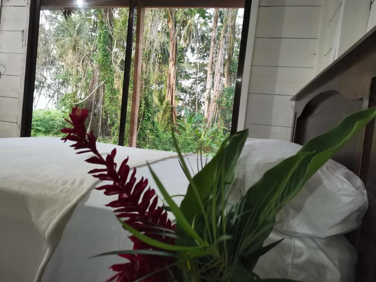 Hostal Cecilia Puerto Viejo de Talamanca Екстер'єр фото