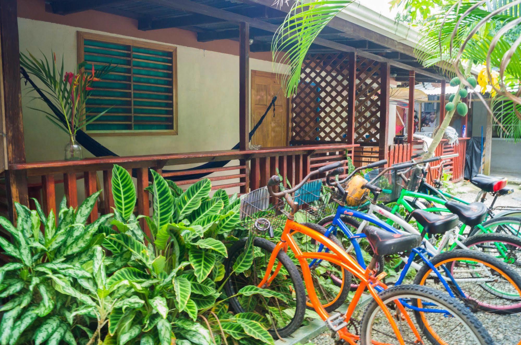 Hostal Cecilia Puerto Viejo de Talamanca Екстер'єр фото