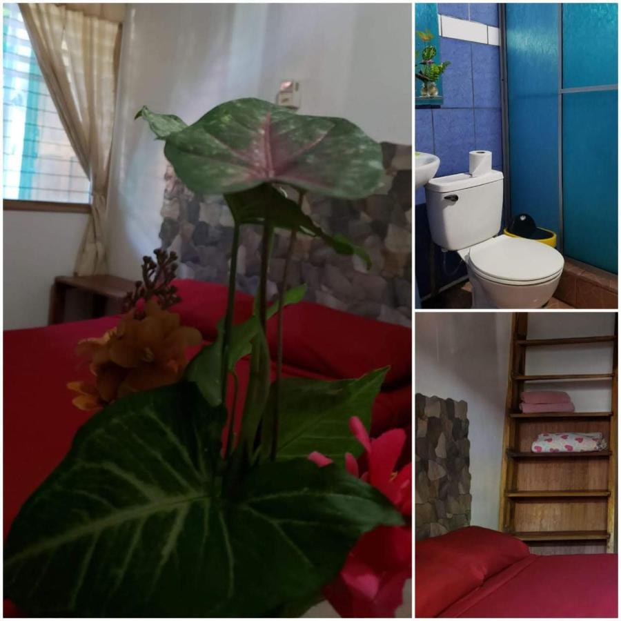 Hostal Cecilia Puerto Viejo de Talamanca Екстер'єр фото